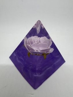 Pyramide Roos